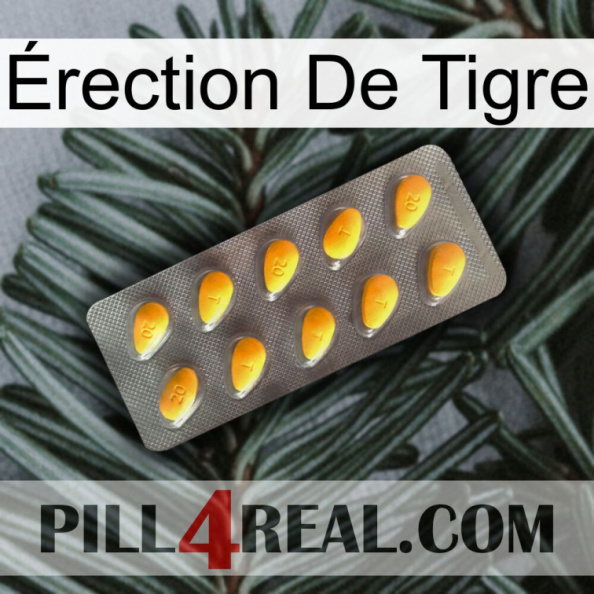 Érection De Tigre cialis1